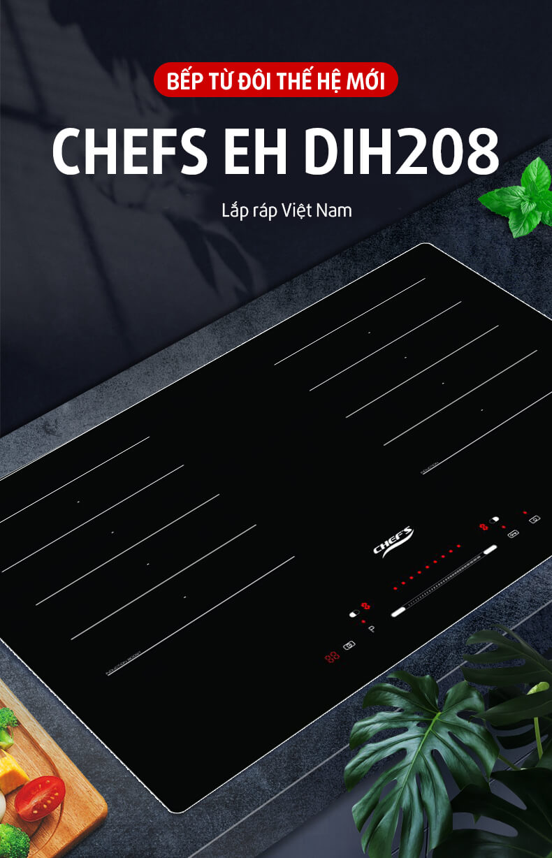 Bếp từ CHEF'S EH-DIH208 5
