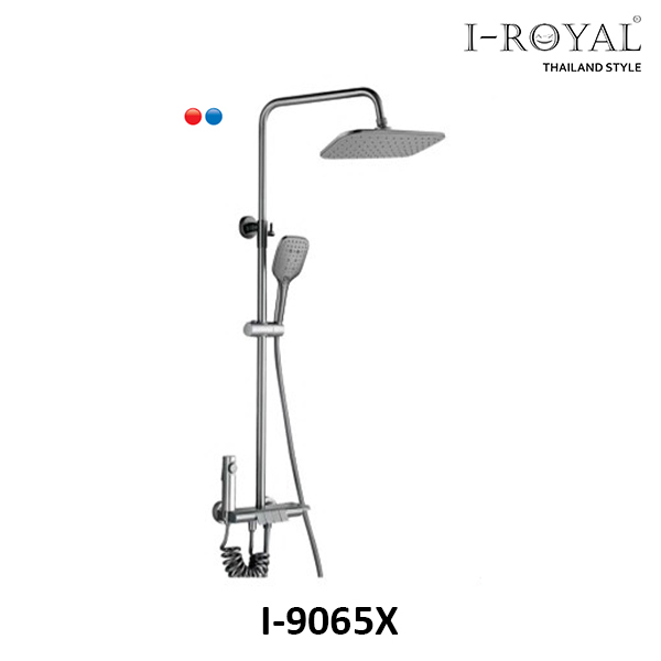 SEN TẮM ĐỨNG NL ĐỒNG SƠN TĨNH ĐIỆN XÁM I-ROYAL I-9065X 2